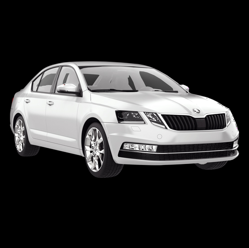 Driver Uber Abdullah Afa Alrefaai Skoda Octavia Amsterdam