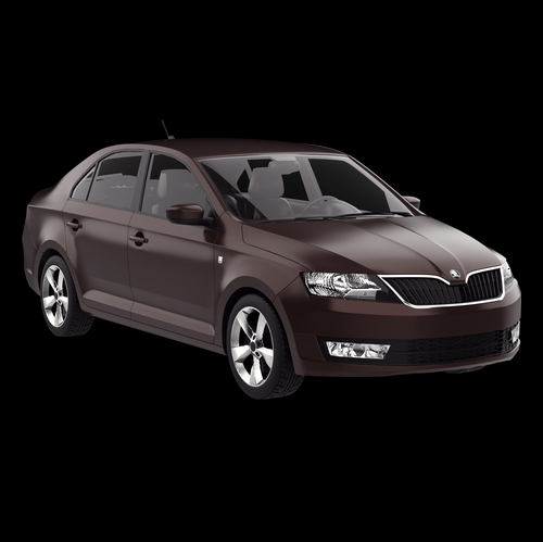 Driver Uber HORATIU CONSTANTIN LUPULEAC Skoda Rapid Brasov