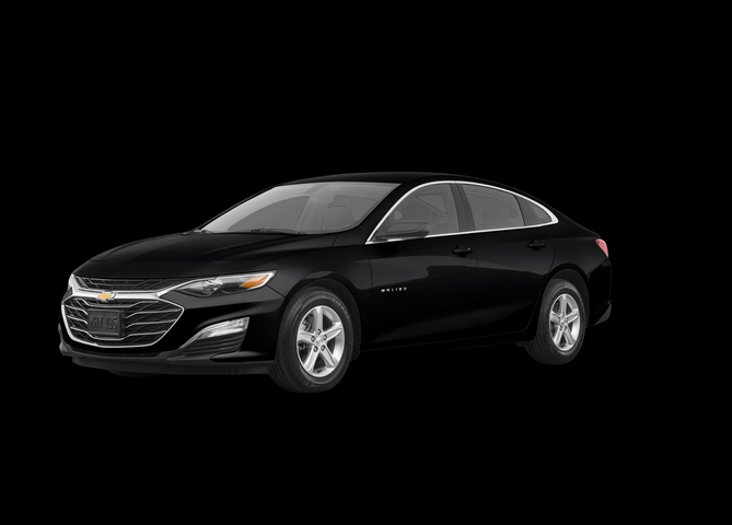 driver-uber-buggy-mobility-tampa-tampa-bay
