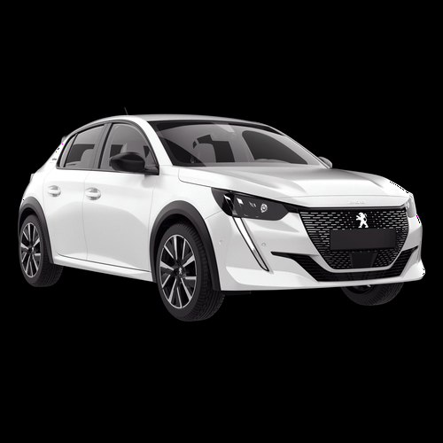 Driver Uber TUBARÃO PREMIADO UNIPESSOAL LDA Peugeot 208 Lisbon